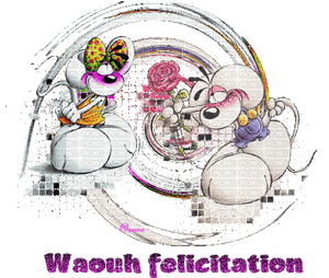 Gif animé waouh félicitations